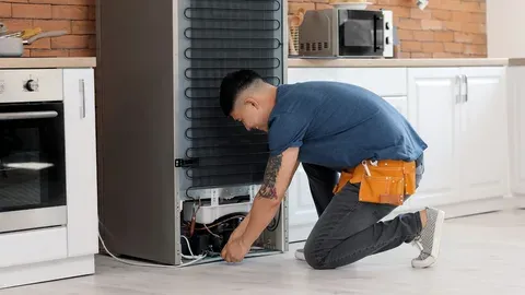 Frigidaire Fridge Compressor Service