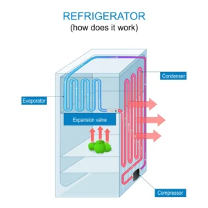 Infographic showing how fridge work