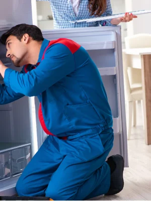 Deep Freezer Repairing (1)