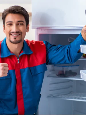 Deep Freezer Repairing (2)