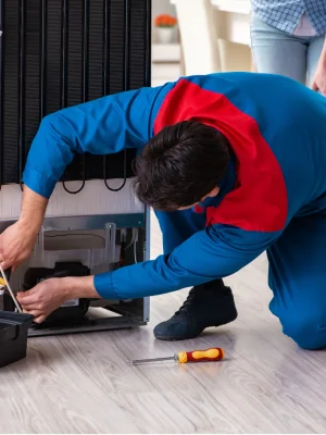 Deep Freezer Repairing (3)