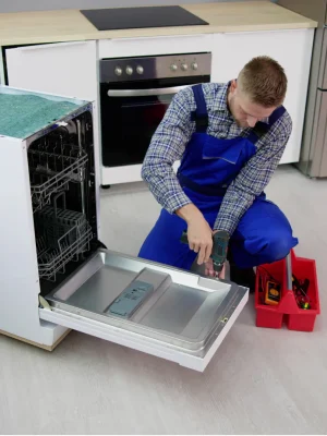 Dishwasher Repairing issues (1)