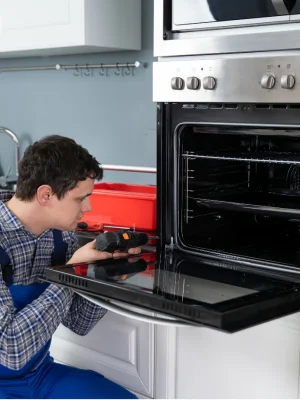Oven Repairing (3)