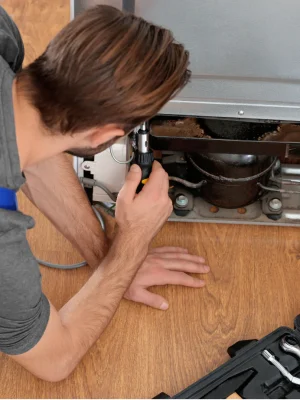 Refrigerator Repairing issues (2)