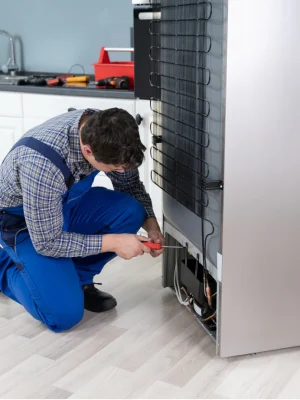 Refrigerator Repairing issues (3)